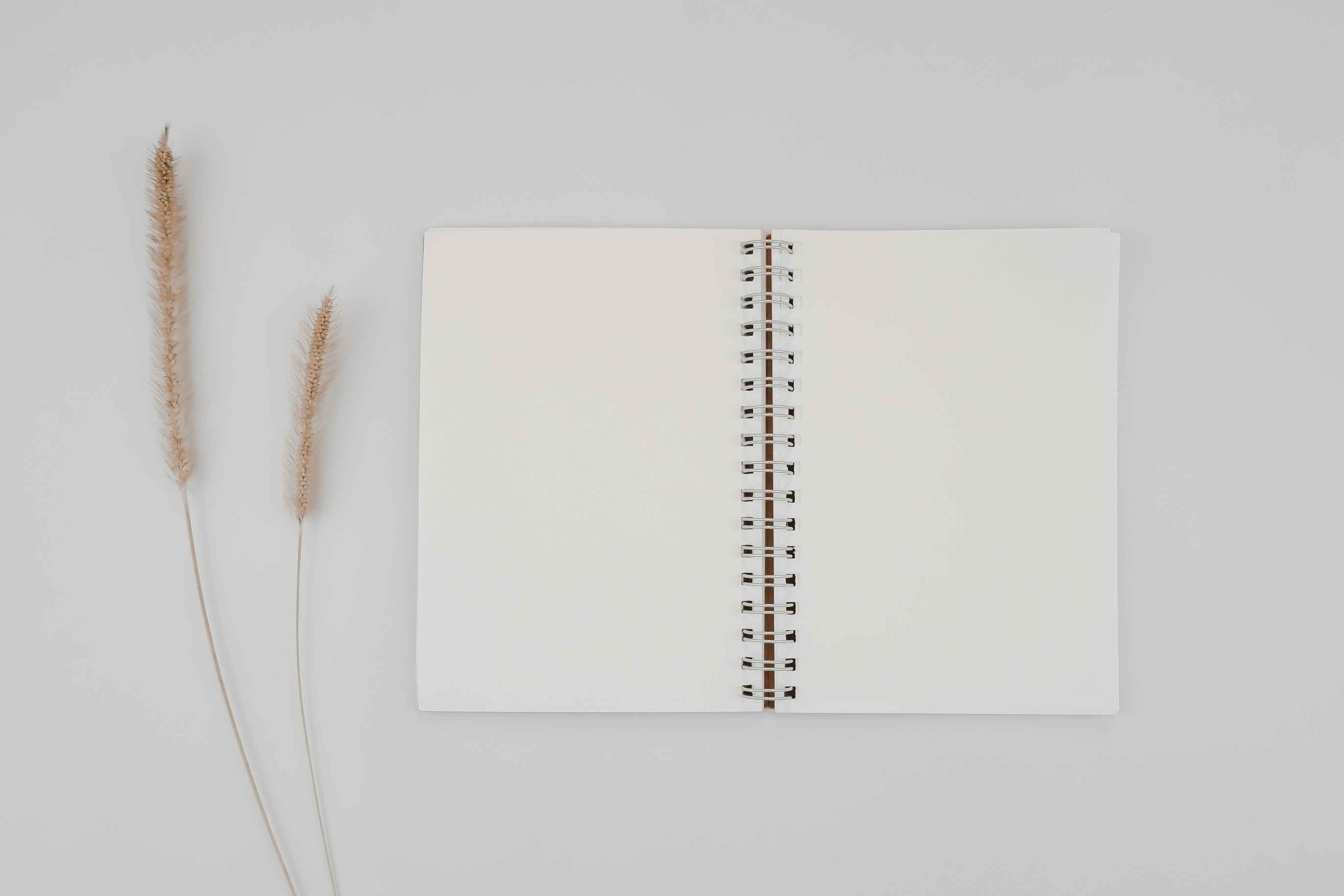 Blank Spiral Bound Sketchbook with Wheat Spikelets